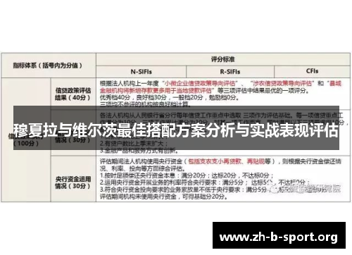 穆夏拉与维尔茨最佳搭配方案分析与实战表现评估 穆夏拉与维尔茨最佳搭配方案分析与实战表现评估