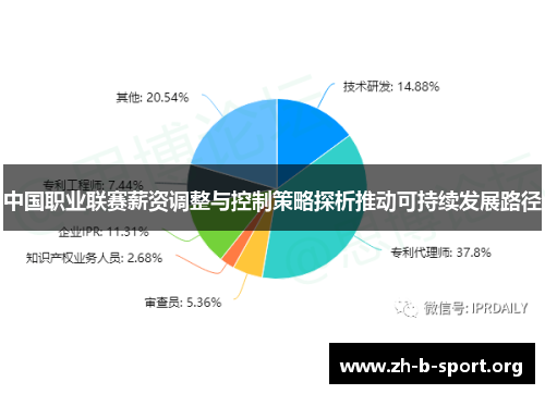 中国职业联赛薪资调整与控制策略探析推动可持续发展路径