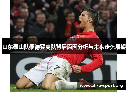 山东泰山队桑德罗离队背后原因分析与未来走势展望 山东泰山队桑德罗离队背后原因分析与未来走势展望