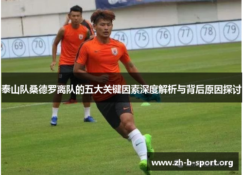 泰山队桑德罗离队的五大关键因素深度解析与背后原因探讨 泰山队桑德罗离队的五大关键因素深度解析与背后原因探讨