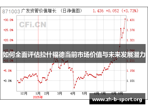 如何全面评估拉什福德当前市场价值与未来发展潜力 如何全面评估拉什福德当前市场价值与未来发展潜力